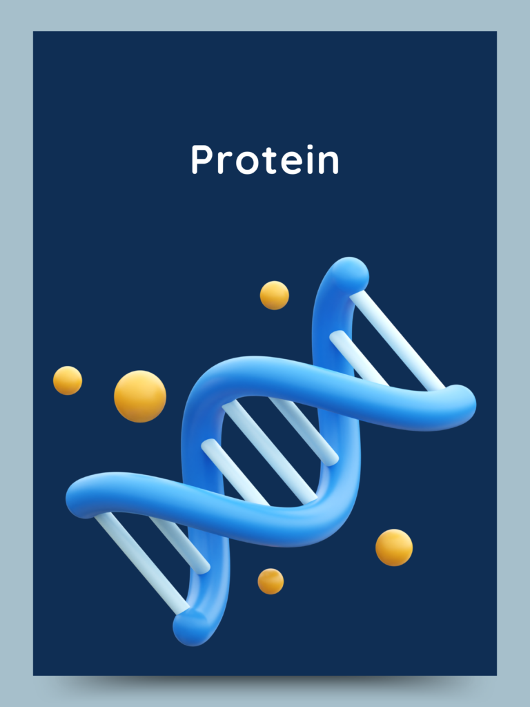 protein