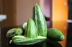 pointed gourd