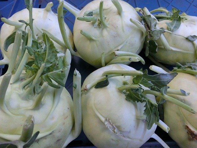 Kohlrabi