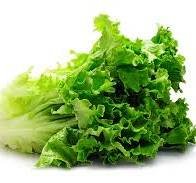 Lettuce leaves